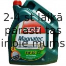 Castrol Magnatec 5W-30 A1, 4l.