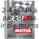 Motul 300V SPRINT 0W15 2L Motoreļļa Dubultesteri