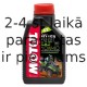 Motul 6100 Synergie+ 10W-40, 1l.