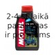 Motul 6100 Synergie+ 10W-40, 1l.