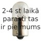 Philips R10W 12V 10 BA15s