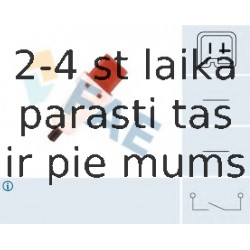 Slēdzis, Sajūga vadība (Tempomat) FAE 24896