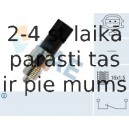 Slēdzis, Atpakaļgaitas signāla lukturis FAE 41255