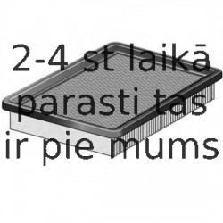 Gaisa filtrs FRAM CA9473