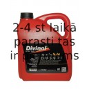 Divinol Syntholight HC-FE 5W30 5l.