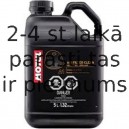 Motul 102985