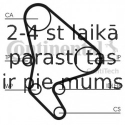 Ūdenssūknis + Zobsiksnas komplekts CONTITECH CT1037WP1