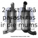 Nosēdumu-/Daļiņu filtrs, Izplūdes gāzu sistēma BM CATALYSTS BM11013H