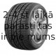 GREMAX 19565 R15 91H CAPTURAR WCH7