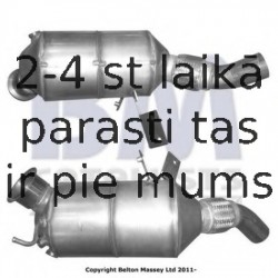 Nosēdumu-/Daļiņu filtrs, Izplūdes gāzu sistēma BM CATALYSTS BM11041H