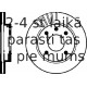 Bremžu disks PAGID 51023